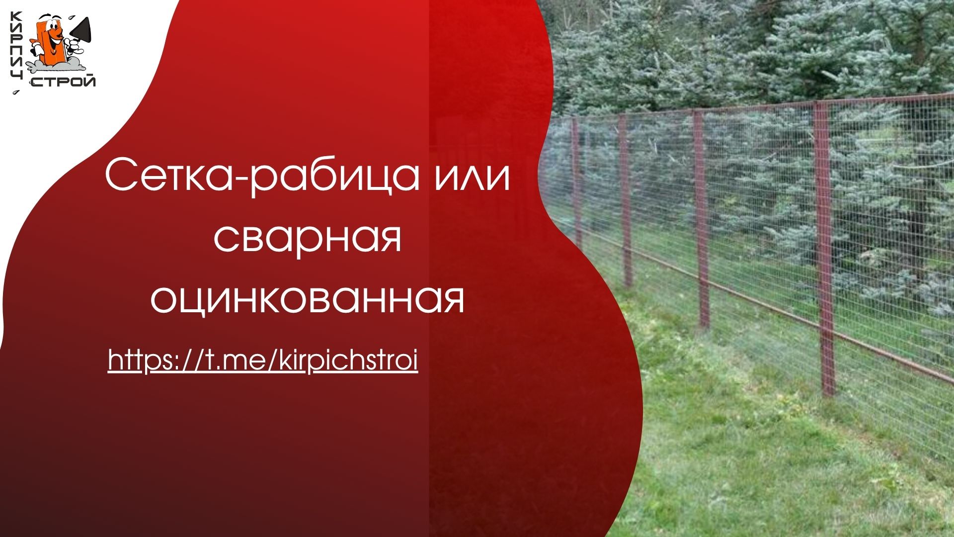 Сетка-рабица или сварная оцинкованная